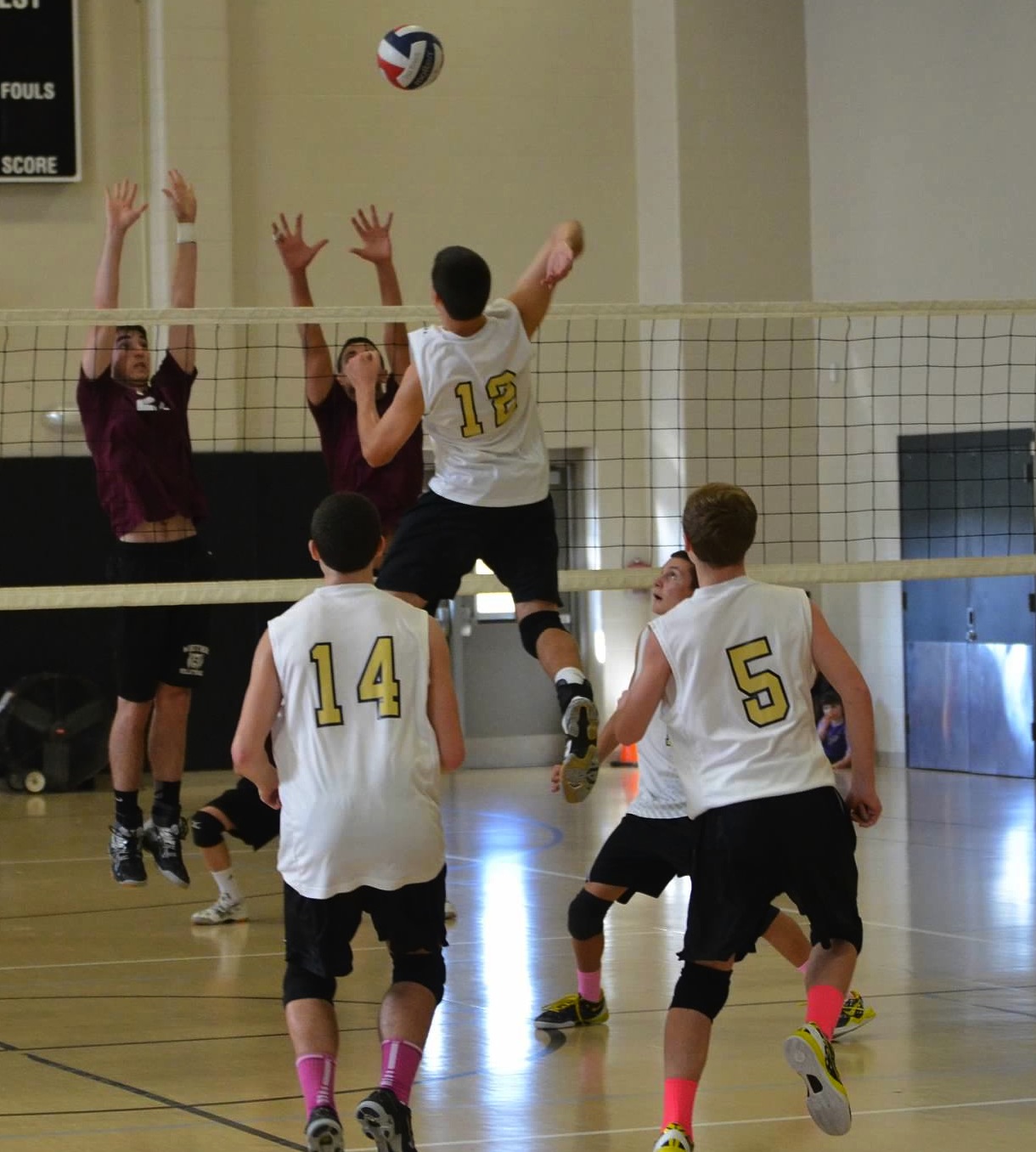 Dylan Missry is Mr. Volleyball in Sachem | Sachem Report